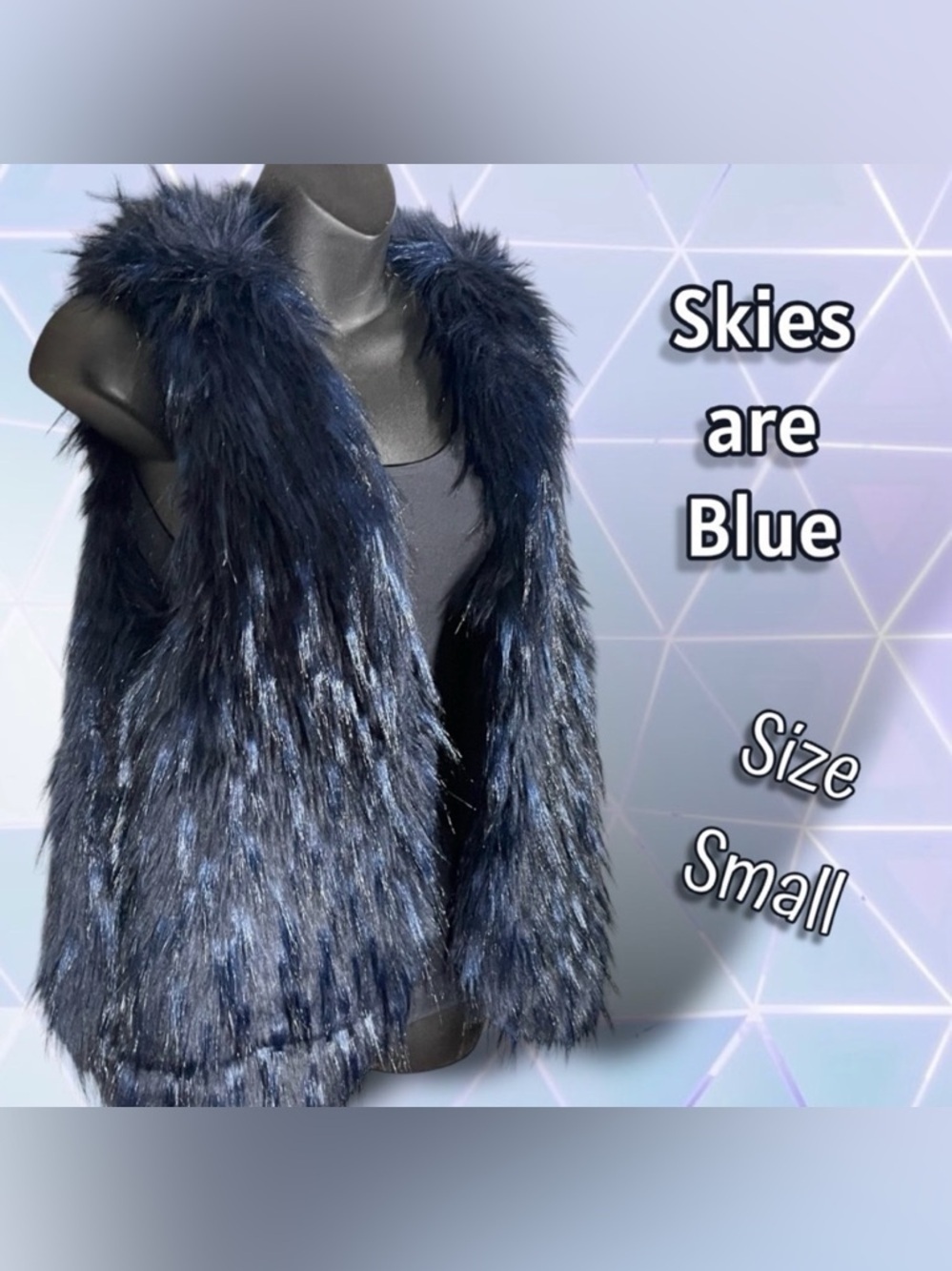 Skies are Blue Faux Fur Vest Black and Blue Size Small